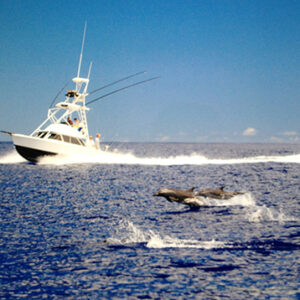 Affordable Private Fishing Charters Minutes from Honolulu-Live Bait Sport Fishing, Waianae, Hawaii