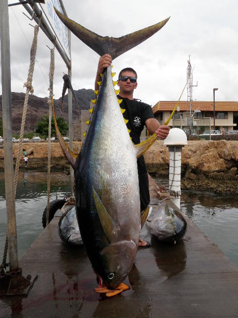 Best Fishing Charter in Honolulu Catching Ahi-Live Bait Sport Fishing in Waianae, Hawaii