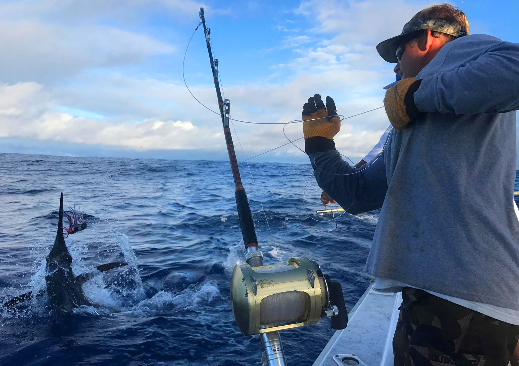 Fishing the HARBOR with Live Bait